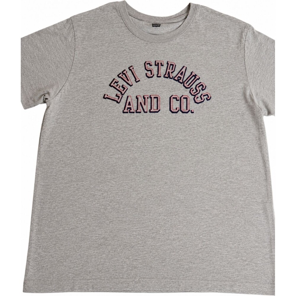 Levi’s Graphic Logo T-Shirt Mens XL Gray Levi Strauss & Co Casual Tee